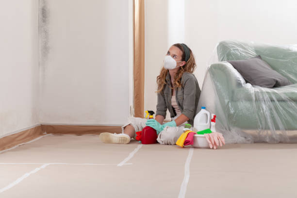 Reliable Mold Cleanup contractor in Brookfield, NJ by WQB Mold Removal